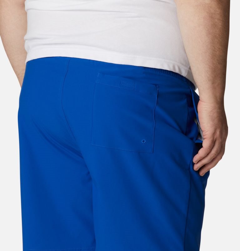 Men's Columbia Summertide Stretch Shorts Blue | Plus Size CA-A04L6